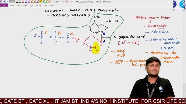 IIT-JAM BIOTECHNOLOGY | MOLECULAR BIOLOGY | KEY POINTS OF REPLICATION