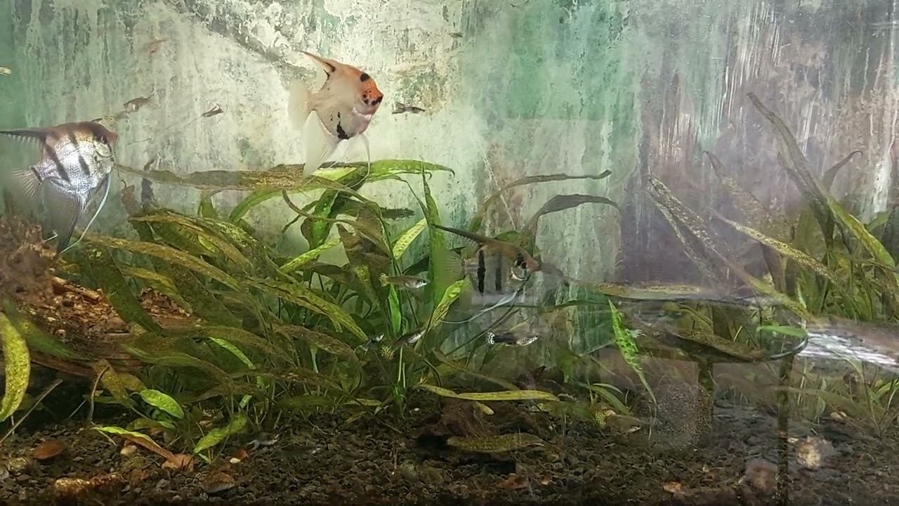 28 марта 2022 г. смотреть онлайн