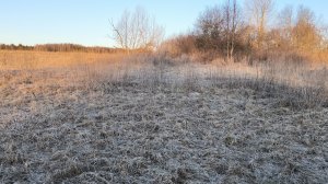 Раскопки 2025г весна выезд 2/ч2