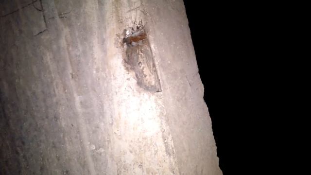 Поиски кота в подвале 2 смотреть онлайн