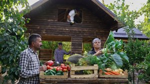 Обед для Строителей Деревянного Дома