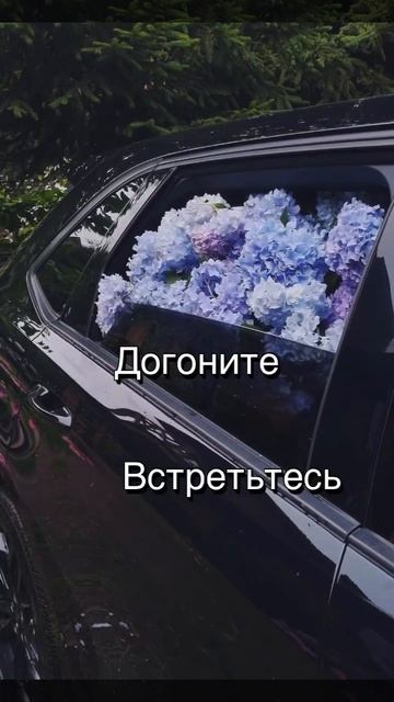 #красивыеслова#шортс#психология#рекомендации#любовь#душа#женщина#девушка#вселенная#романтика#