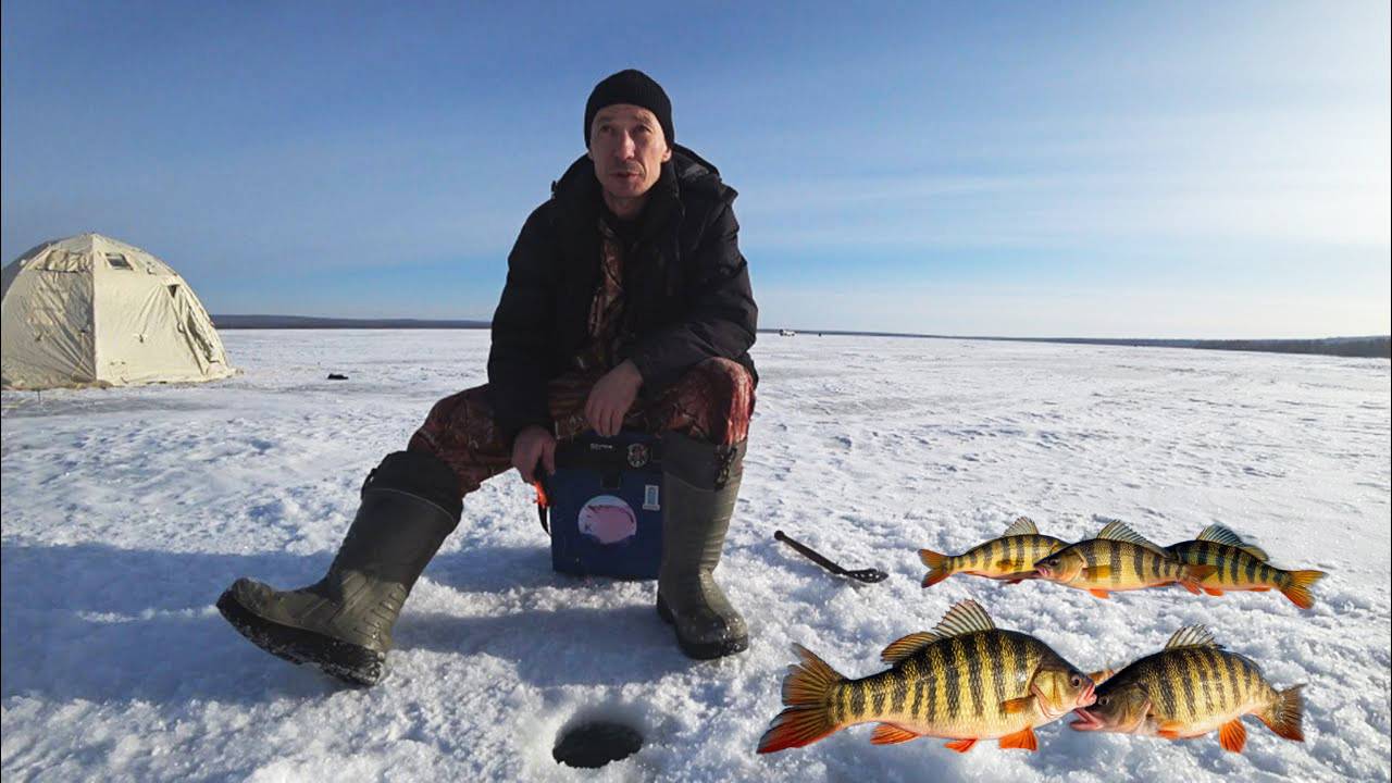 РЫБАЛКА НА ОКУНЯ ВЕСНОЙ В ЗАБАЙКАЛЬЕ.