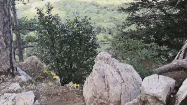 Агрессивный влог или как я бомбила на протяжении дня смотреть онлайн