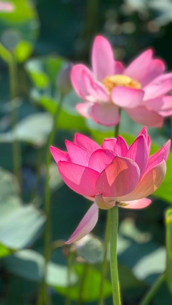 Гостиница на берегу Азовского моря
Продаю смотреть онлайн