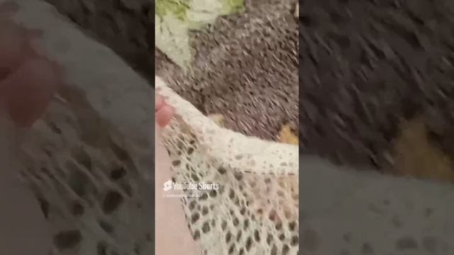 77)-07.04.25.г.Связала 🧶вяжу🧶,буду вязать.🧶👩🧥.