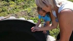 Алиса и ручная ЛЯГУШКА Веселое видео для детей Детский канал Little baby Алиса