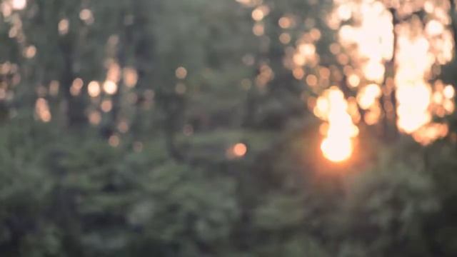 Mac DeMarco - Let Her Go (Unofficial Music Video) смотреть онлайн