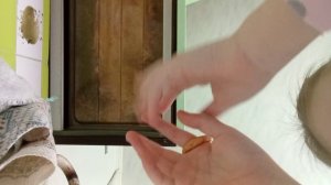 братья навсегда (песня)