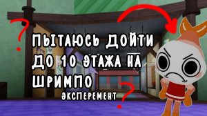 ЧТО БУДЕТ ЕСЛИ ПОПРОБЫВАТЬ ДОЙТИ НА ШРИМПО ДО 10 ЭТАЖА? ЭКСПЕРЕМЕНТЫ МИР ДАНДИ