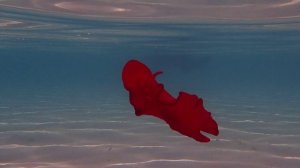 Испанский танцор. Классика. Шератон Сома Бэй.Красное море.Март 2025.С Лилия Драч.