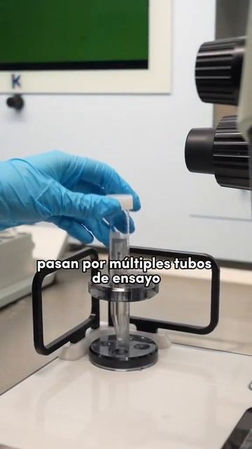 ¿Sabes en qué consiste el sistema Witness? смотреть онлайн