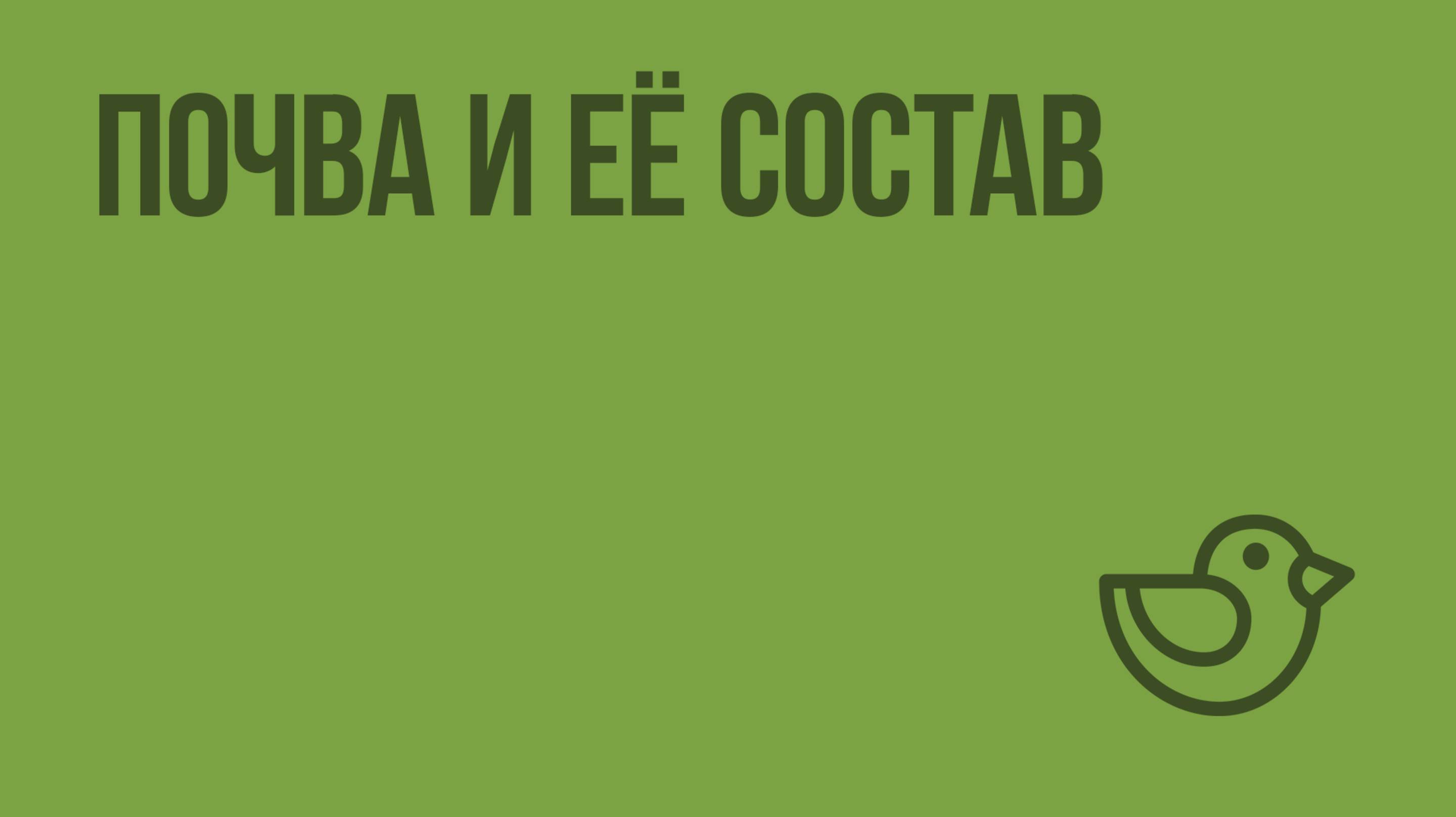 Почва и её состав. Видеоурок по окружающему миру 3  класс