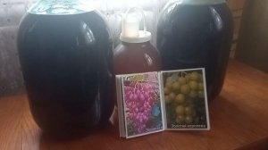 🍇Перспективные сорта винограда Зоренька и Золотая королева .🍇