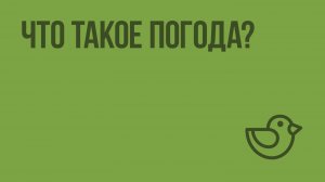 Что такое погода Видеоурок по окружающему миру 2  класс