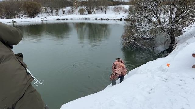 Видеообзор с водоема
