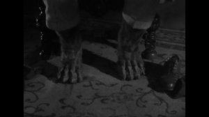 Превращение в волка (Человек-волк 1941)