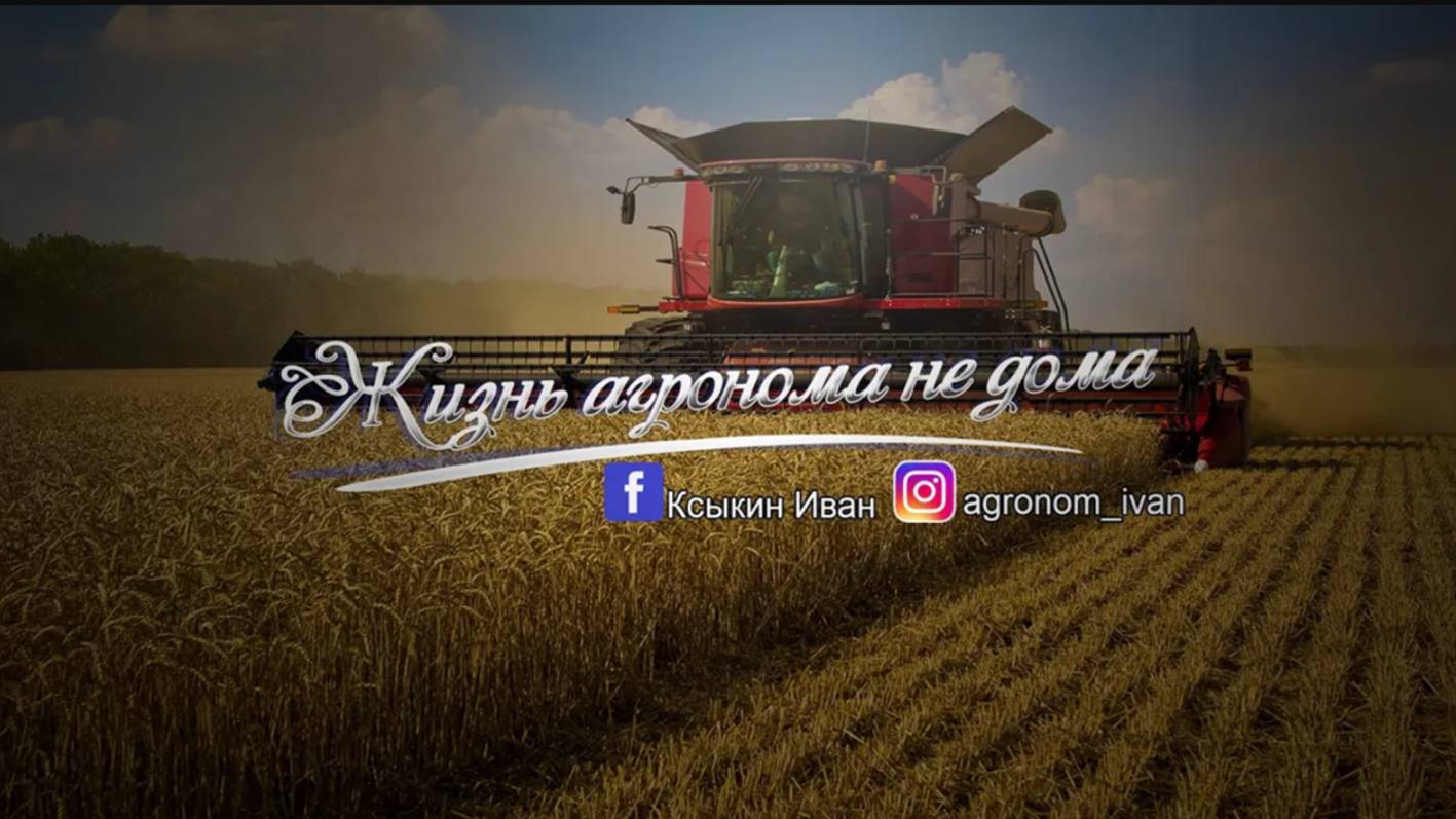 Жизнь агронома не дома!