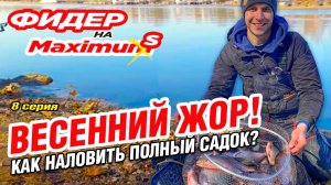 Фидер на Максимум! Серия 8. Весенний жор! Как наловить полный садок?