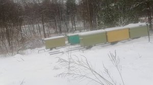 Мастер-Класс по Пчеловодству в лежаках стартует после 14 апреля, по погоде. 20 см снега на пасеке.