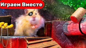 ХОМЯК ПИРАТ 🐹🏴☠️ Видео для детей ! Приключения Умного Хомяка пирата !