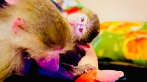 Все УСПОКОИЛИСЬ, но ненадолго, а Люська увлеклась ХИРОМАНТИЕЙ!