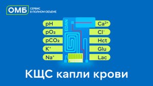 КЩС капли крови