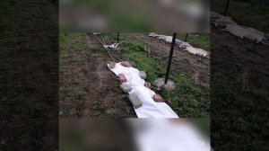 Заморозки в начале апреля.