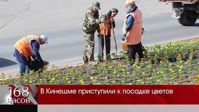 Цветы в городе смотреть онлайн
