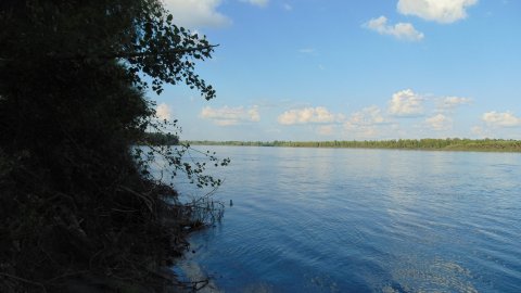 Совмещение полезного с приятным.