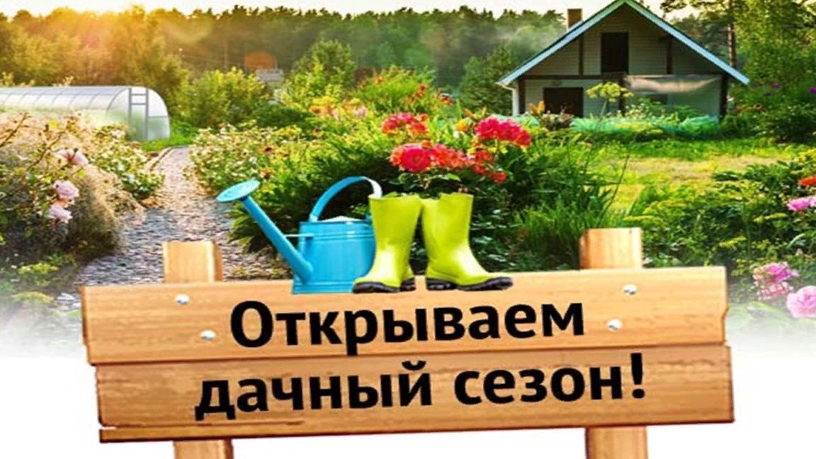 Открытие дачного сезона 2025 года,весна,местами лежит снег,чилим на даче,шашлык и грибы на огне