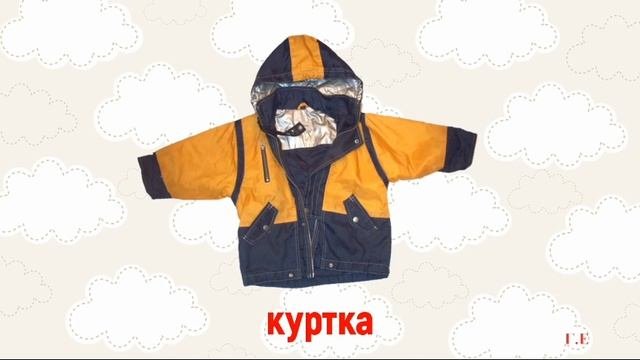 Одежда