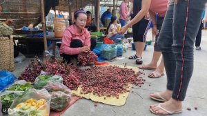 Harvest fireballs to sell in the market -cook dog food l Lý Thị Sai