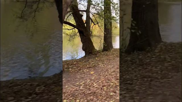 Конный двор