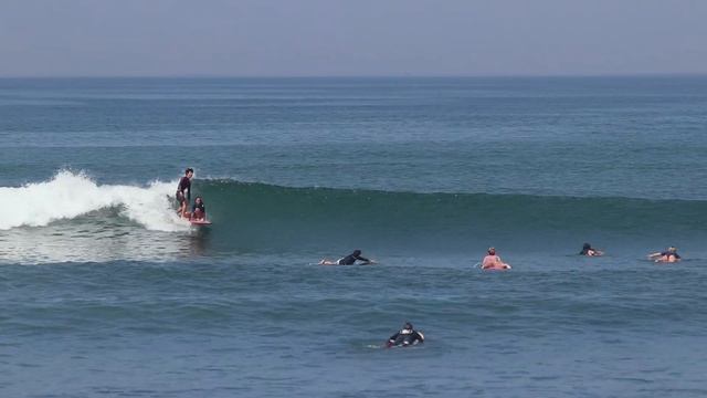 Lady Loggers Of Batu Bolong - 9 October 2019 смотреть онлайн