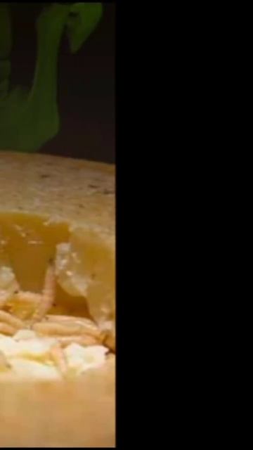 El Queso Elaborado con Larvas de mosca 🤢 #shorts смотреть онлайн