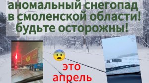 аномальный снегопад 6- апреля 2025 года в Смоленске и Смоленской области