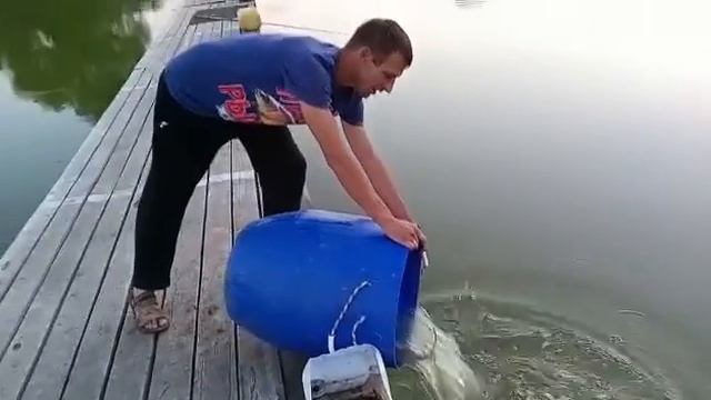 Запуск буднего дня