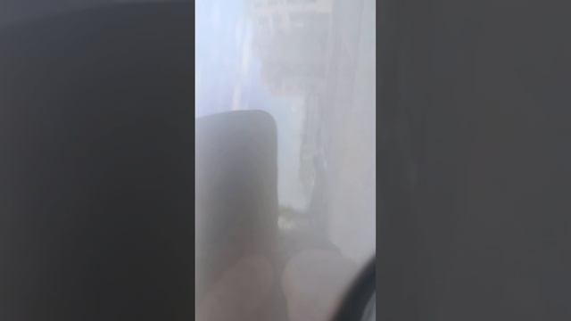 Октавия