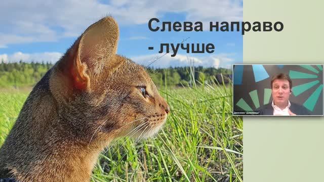 Как сделать красивое фото в Инстаграме? Лайфхаки съемки со смартфона. Мастер-класс