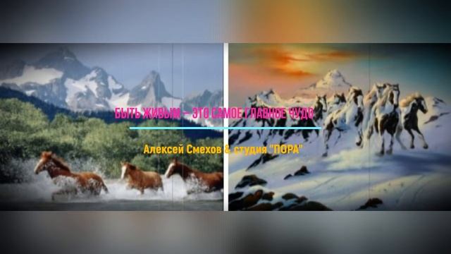 БЫТЬ ЖИВЫМ - ЭТО САМОЕ ГЛАВНОЕ ЧУДО смотреть онлайн