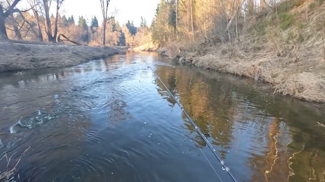 Нано-Джиг на МАЛОЙ РЕКЕ весной! Рыбалка на СПИННИНГ! Ловля ОКУНЯ, ГОЛАВЛЯ! смотреть онлайн
