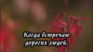 Ксения Лапицкая - Господень дом