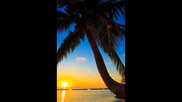 Отпуск автор Э+Т Даниловы смотреть онлайн