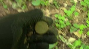 В поисках исчезнувшей деревни.