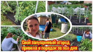 ЗАПУСТИЛА ОГОРОД НА ДАЧЕ/ПРИВОЖУ В ПОРЯДОК ГДЯДКИ/КАК Я ЗА ПОЛ ДНЯ ПРИВЕЛА В ПОРЯДОК СВОЙ ОГОРОД