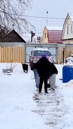 Дюшу не взяли в школу