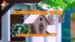 Кормушка для птиц своими руками как сделать пошагово  (177) 🪚🪛🔨 Идеи для дачи и сада❣️