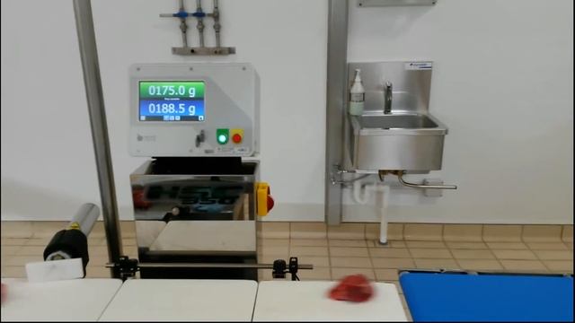 Чеквейер для динамического взвешивания мясного филе. Checkweigher Nemesis