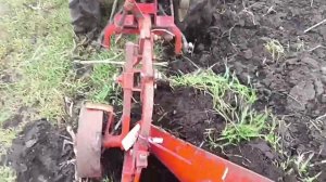 Тест-драйв итальянского плуга